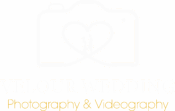 velour wedding logo w